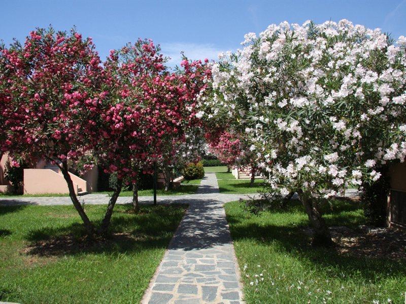 Hotel Villaggio Sirio Catanzaro Buitenkant foto